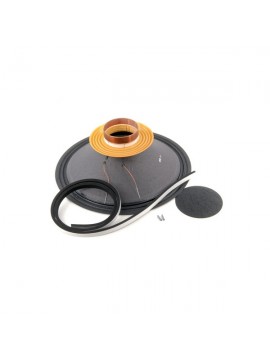 Recone Kit BEYMA 15P1000/Fe